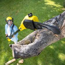 Best Organic Lawn Care Solutions  in New Lenox, IL